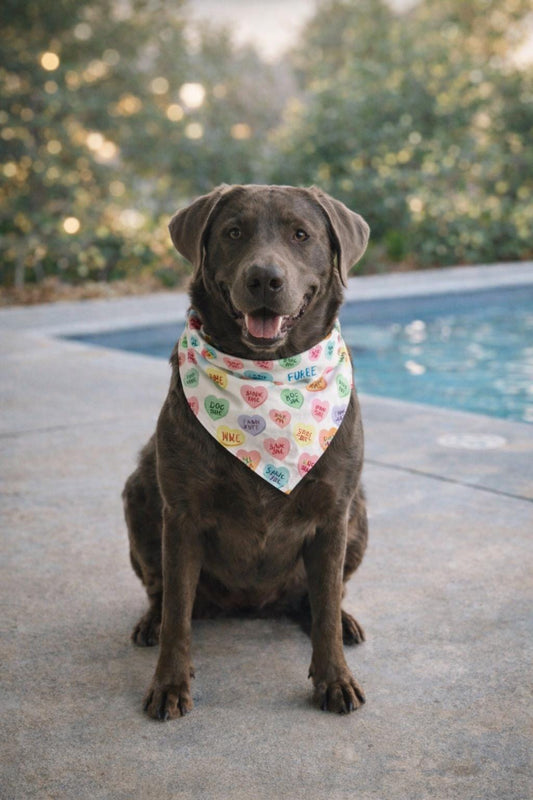 Valentine's Day Scrunchie Pet Bandana - 3 Fabric Options Available