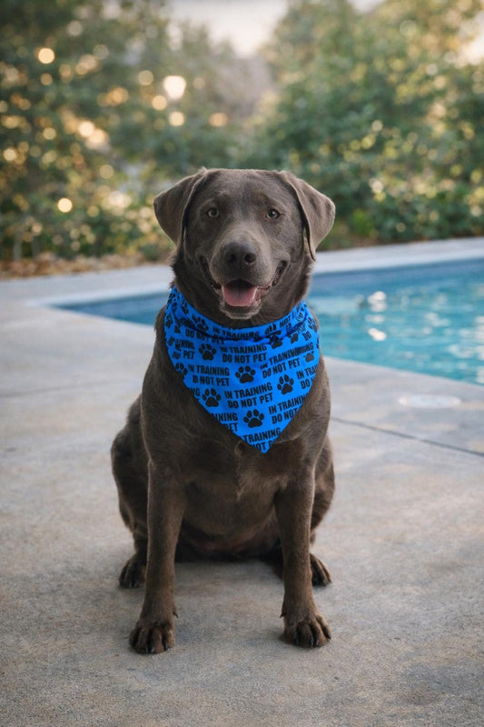 In Training - Do Not Pet - Scrunchie Pet Bandana - Multi Color/Saying Fabric Options Available