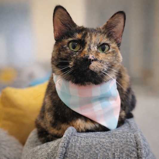 Plaid Scrunchie Pet Bandana - 2 Fabric Color Options Available