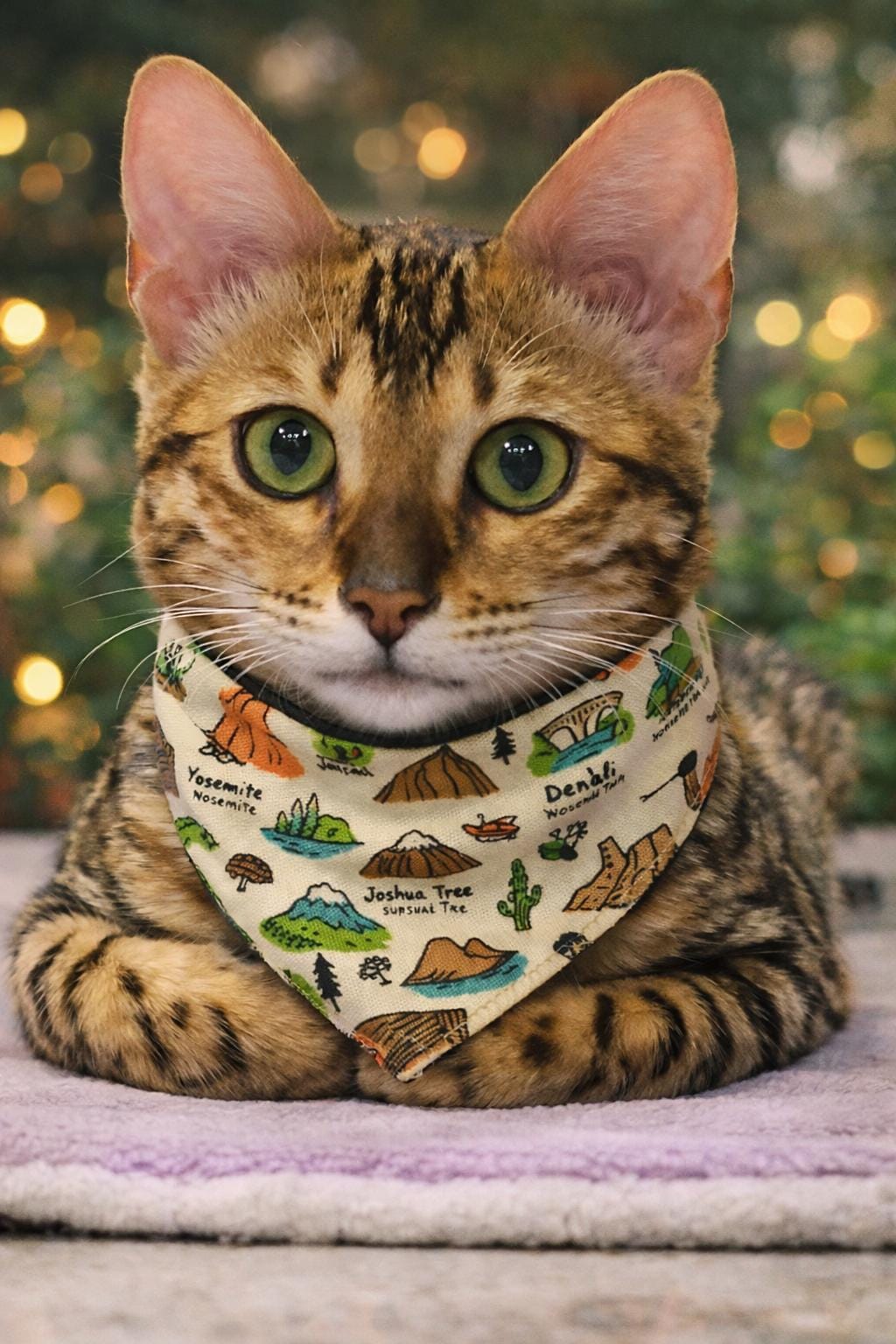 National Parks Scrunchie Pet Bandana
